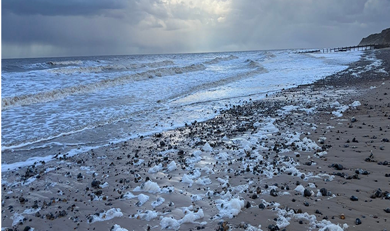 Beach near Holt
